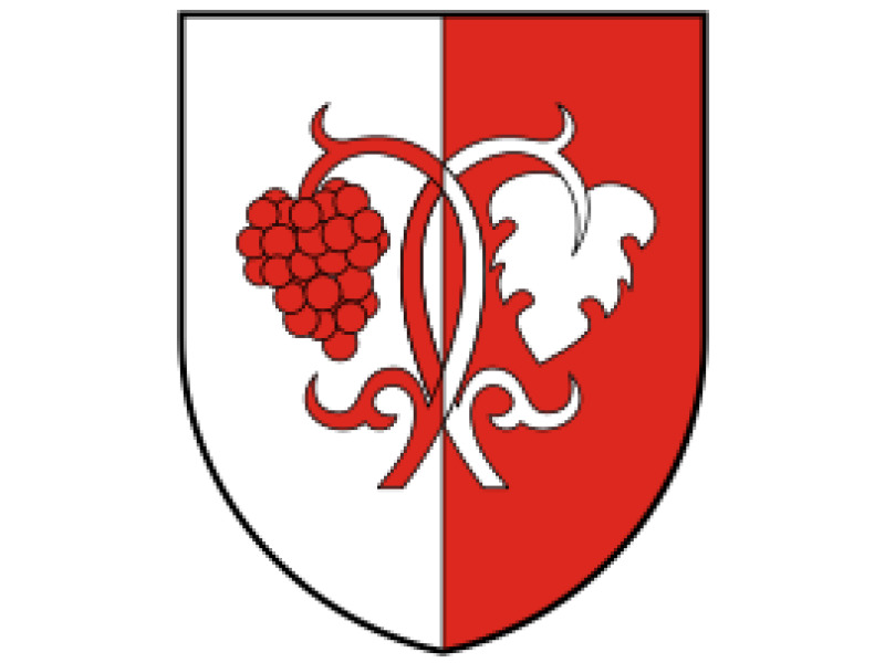 Letölthető Dokumentumok - Helvécia