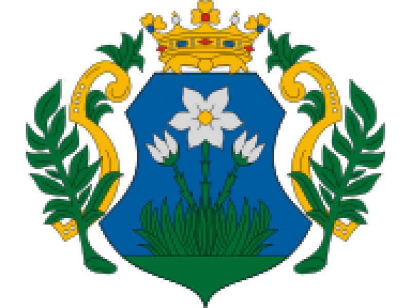 Letölthető Dokumentumok - Szabadszállás